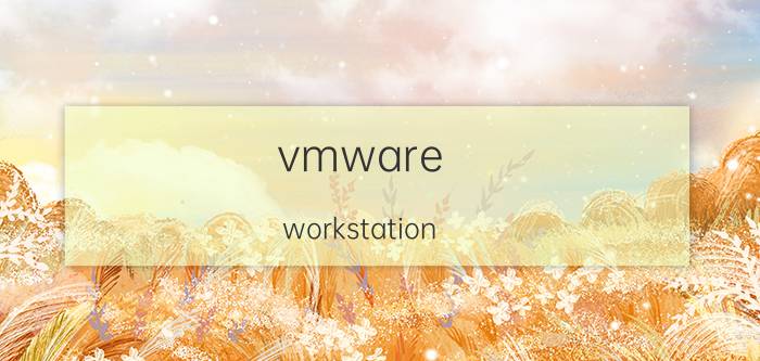 vmware workstation 10 密钥